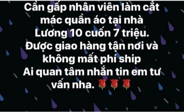 Lừa bán cây cảnh, tuyển nhân viên “cắt mác quần áo” để chiếm đoạt hàng trăm triệu đồng
