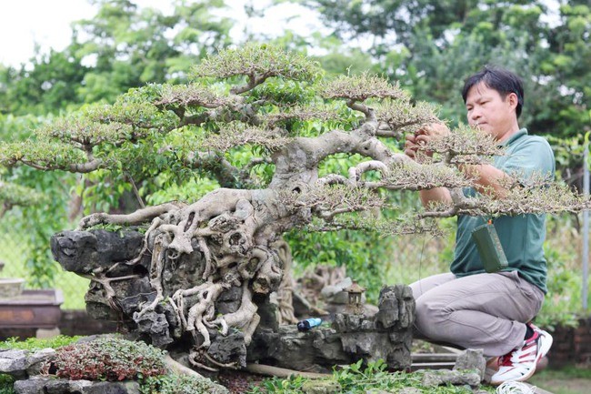 Hà Nội: Mở hướng đi riêng phát triển nông nghiệp sinh thái