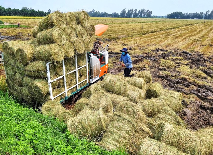 Phụ phẩm nông nghiệp, “mỏ vàng” bị bỏ quên: Giải pháp để tận dụng hiệu quả
