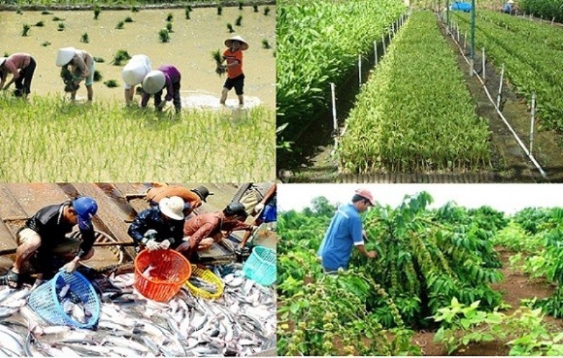 Chuyển đổi hệ thống lương thực, thực phẩm minh bạch, trách nhiệm và bền vững
