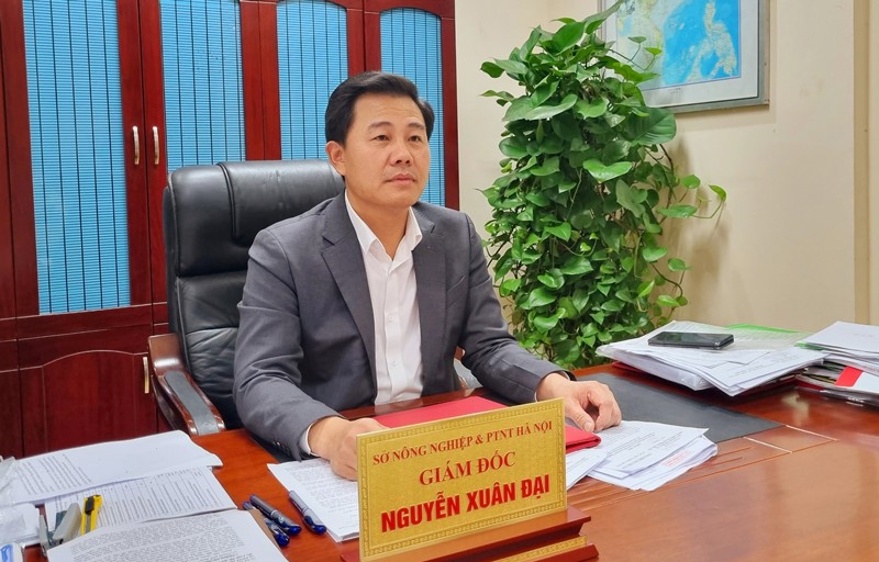 Tạo đột phá trong phát triển nông nghiệp, nông thôn
