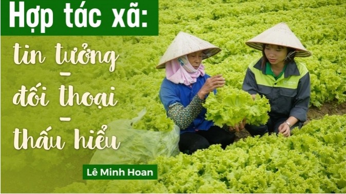 Hợp tác xã: Tin tưởng - Đối thoại - Thấu hiểu