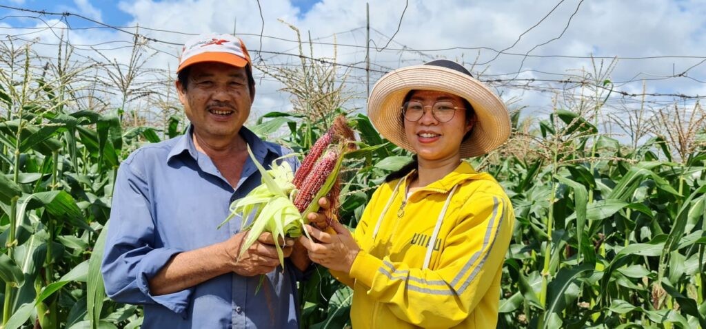 BSF Smart Farm tri ân các lão nông tri điền của Việt Nam nhân ngày 20/11
