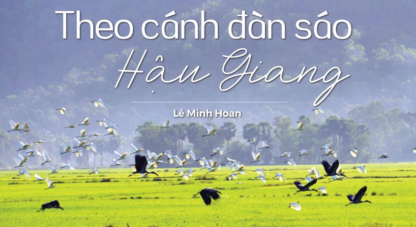 Theo cánh đàn sáo Hậu Giang