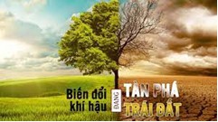 Việt Nam trong tầm nhìn Thế giới