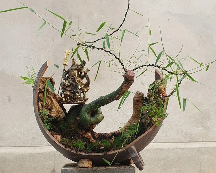 Tre Bonsai -  xu hướng chơi cây kiểng mới của giới trẻ hiện nay