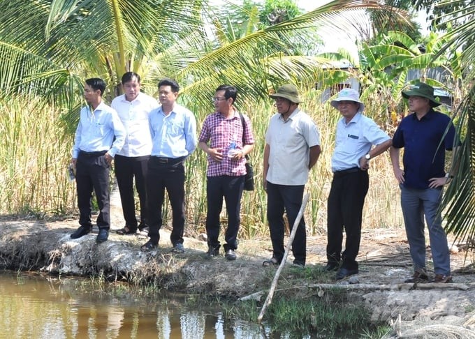 Lúa - tôm hữu cơ thuận lợi tham gia Đề án 1 triệu ha lúa
