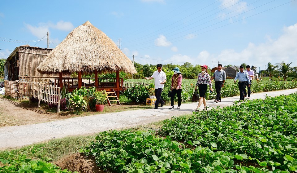 Bảo tàng Nông nghiệp Đồng bằng sông Cửu Long