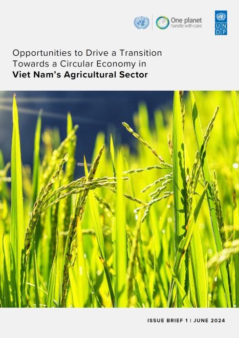 Opportunities to Drive a Transition Towards a Circular Economy in Viet Nam’s Agricultural Sector