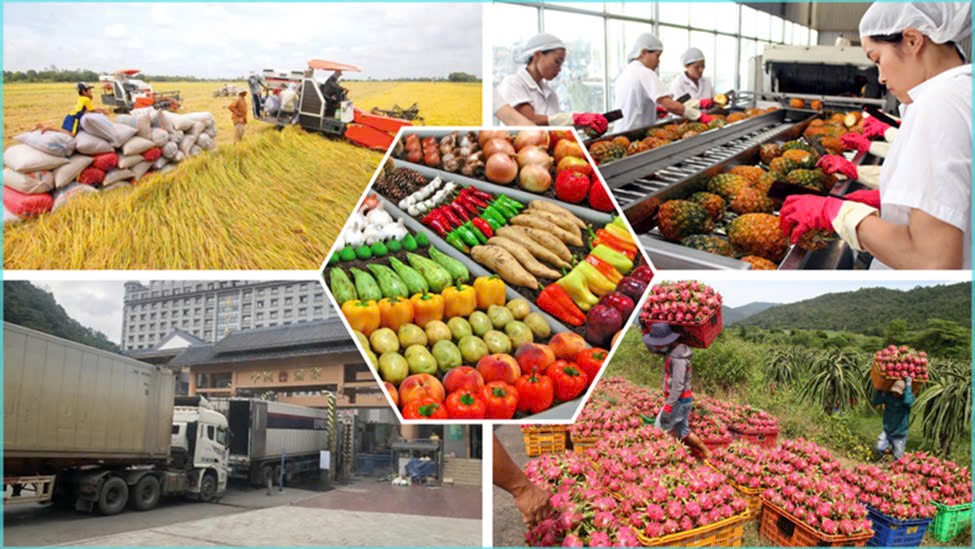 Xuất khẩu nông sản Việt Nam: Cơ hội và thách thức