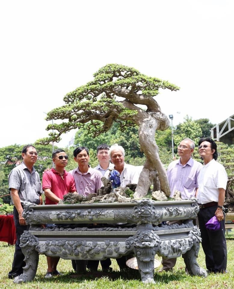 Viện Kinh tế - Văn hoá và Nghệ thuật cấp chứng thư cho tác phẩm cây cảnh “Thế Võ Bình Định”