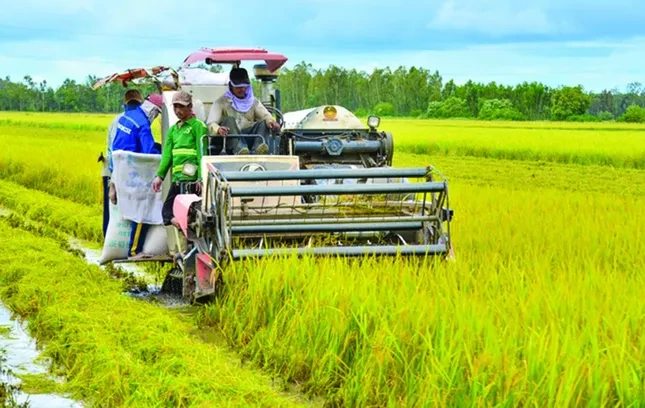 Đưa nông sản Việt vượt bão thuế, hướng tới kim ngạch 65 tỷ USD