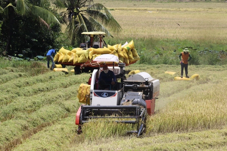 Bộ Nông nghiệp và Môi trường trả lời cử tri về giải pháp kiểm soát giá vật tư nông nghiệp