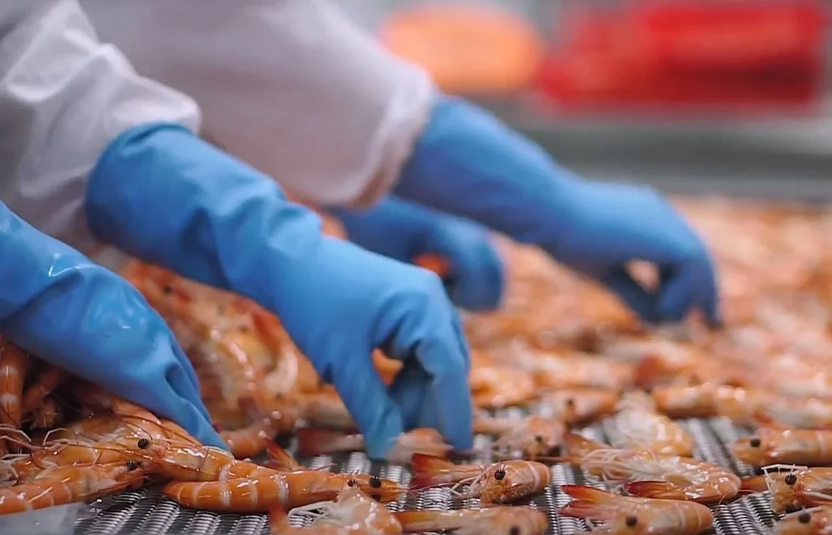 Xuất khẩu tôm tăng trưởng mạnh trong tháng đầu năm