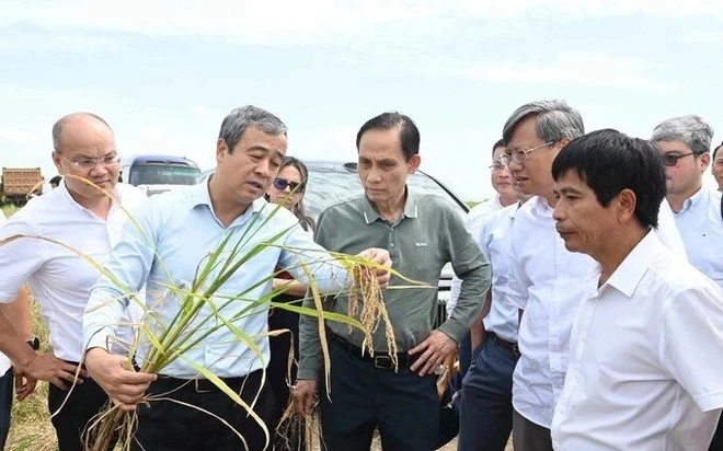 Gặp Bộ trưởng Việt Nam, Bí thư Tỉnh ủy Cuba “ngỏ lời” về lĩnh vực DN Việt lập kỳ tích 9 tấn/ha ở nước bạn