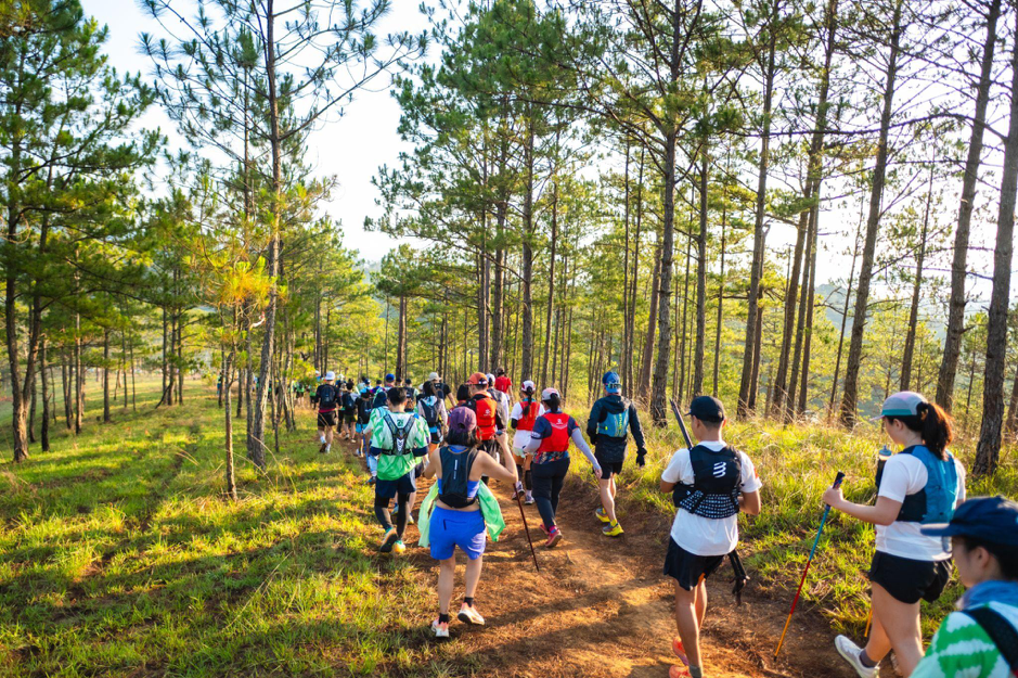 Dalat Ultra Trail x Kailas FUGA - Cú bắt tay nâng tầm trải nghiệm chạy địa hình mùa giải 2026