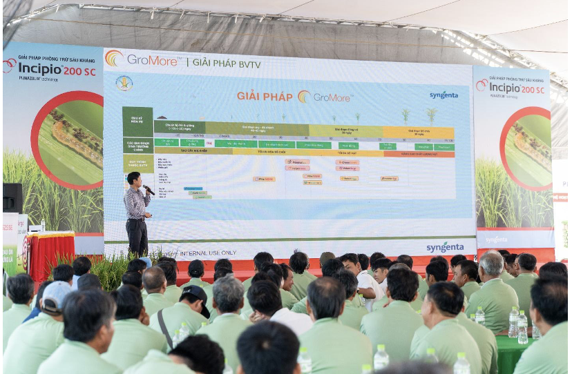 Reflect Xtra công nghệ đột phá thời kỳ nuôi đòng 50 – 60 ngày sau sạ
