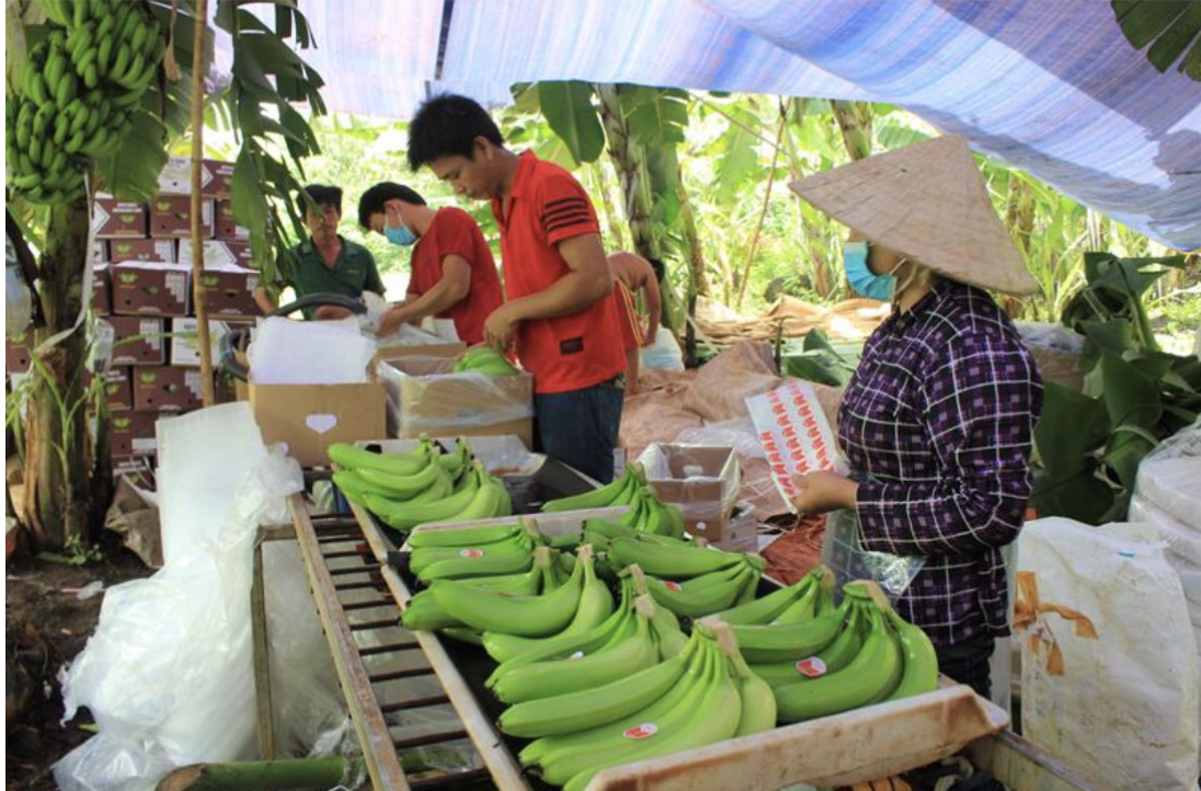 Đồng Nai: Cơ cấu lại ngành nông nghiệp