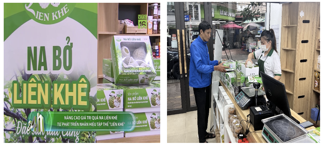 Quản lý, khai thác và phát triển nhãn hiệu tập thể "Liên Khê" cho sản phẩm quả na bở của xã Liên Khê, huyện Thuỷ Nguyên, thành phố Hải Phòng