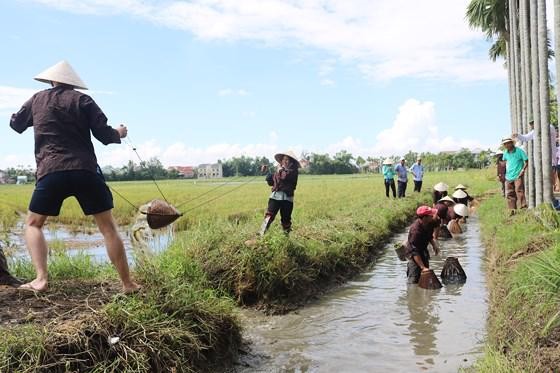TP. Đà Nẵng: Thí điểm 15 mô hình du lịch nông thôn
