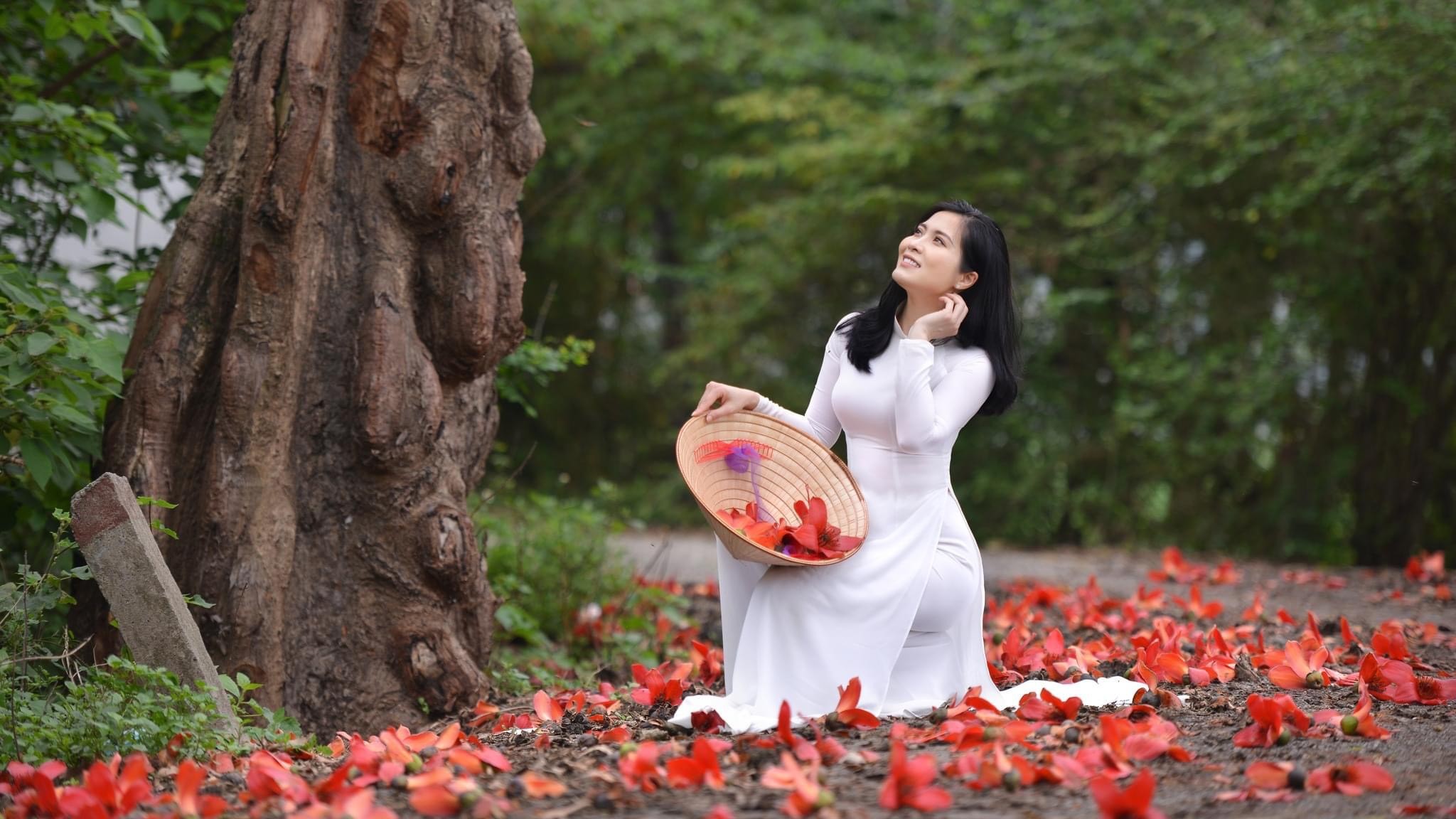 PHOTO: Tháng Ba hoa gạo thắp sáng những vùng quê