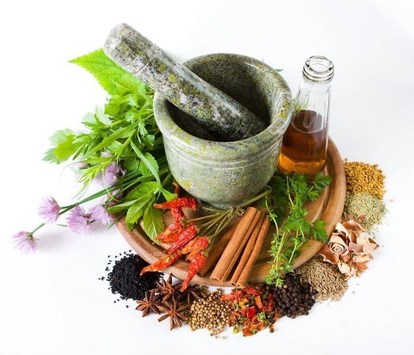 Phát huy tinh thần "Nam dược trị Nam nhân" của đại danh y Tuệ Tĩnh trong chăm sóc sức khoẻ nhân dân