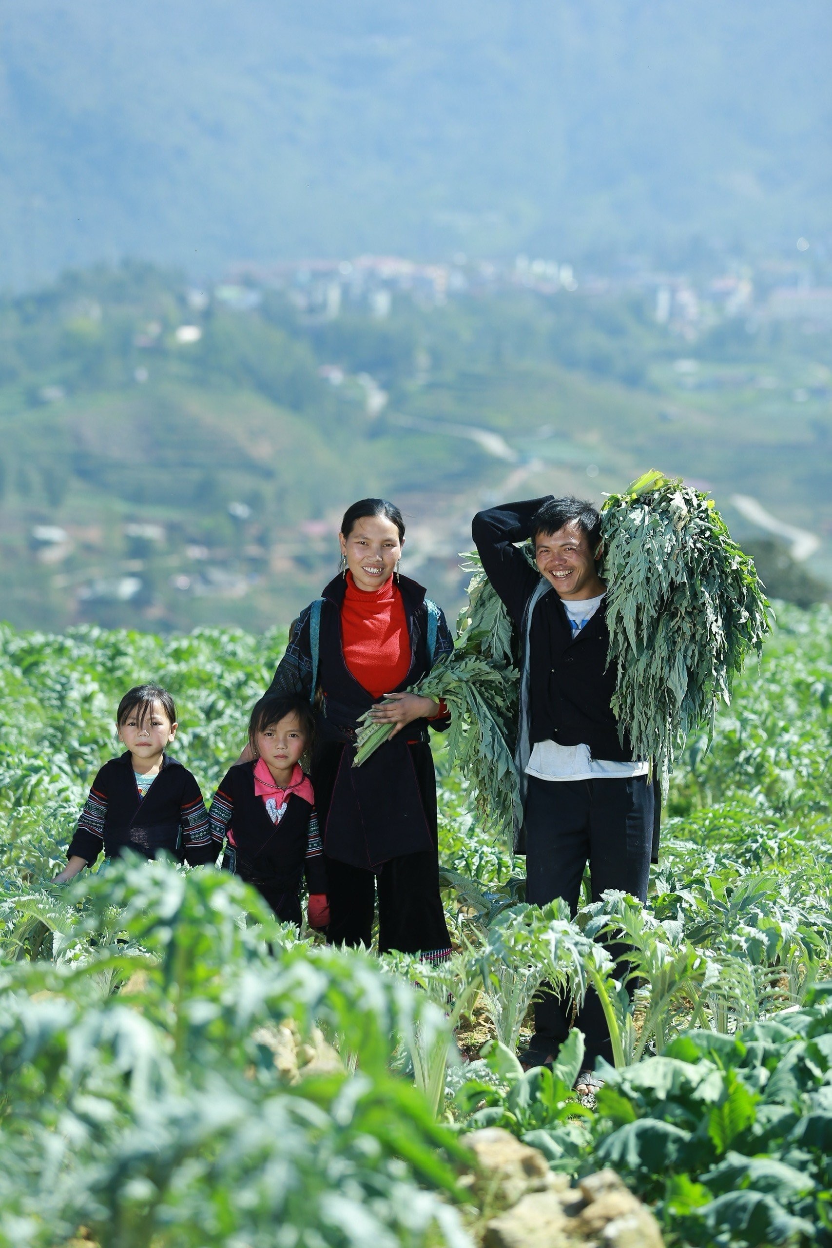Phát triển cây dược liệu: Bảo tồn nguồn gen thuốc Nam quý hiếm, góp phần nâng cao chất lượng cuộc sống của nhân dân