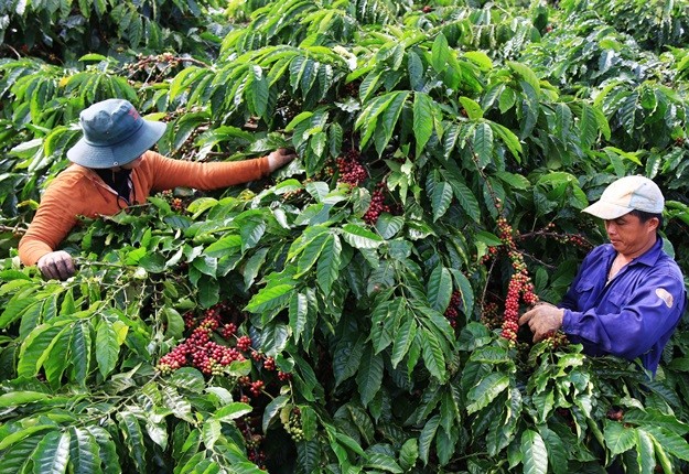 Gần một nửa dân số thế giới gắn liền với hệ thống nông nghiệp