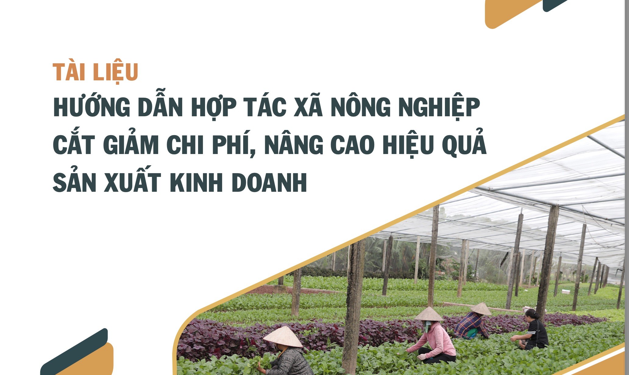 EBOOK: Tài liệu Hướng dẫn hợp tác xã nông nghiệp cắt giảm chi phí, nâng cao hiệu quả sản xuất kinh doanh