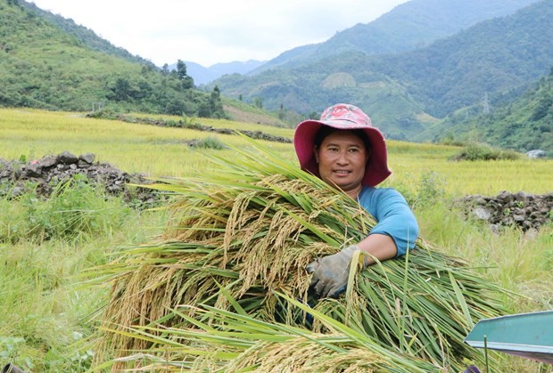 Lai Châu: Nỗ lực giảm nghèo vùng đồng bào dân tộc thiểu số