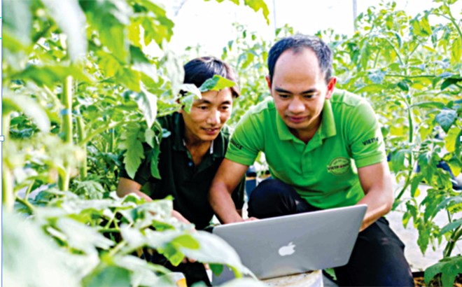 Thành phố Yên Bái chuyển đổi số trong xây dựng nông thôn mới