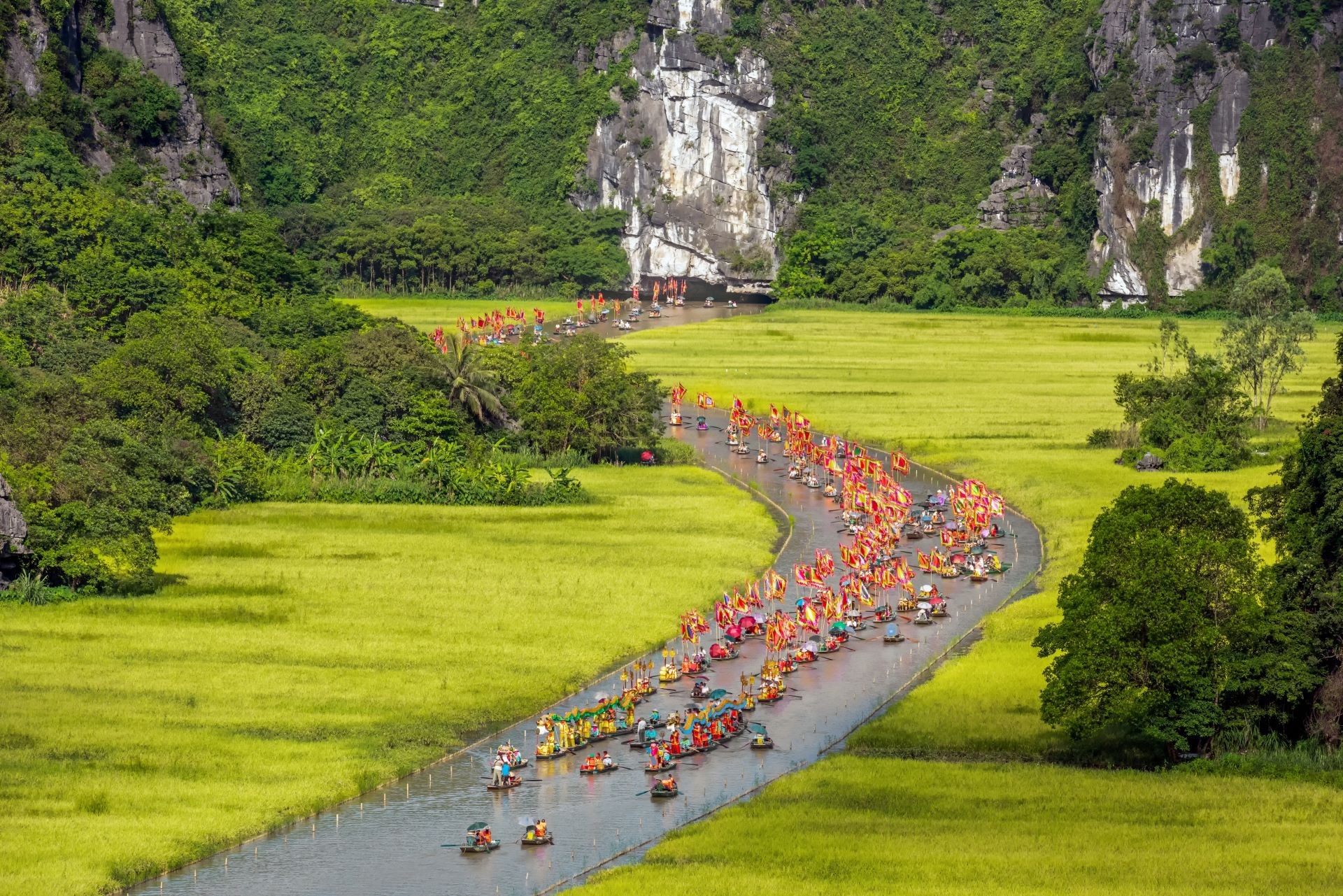 Say lòng với mùa vàng Tam Cốc - Tràng An