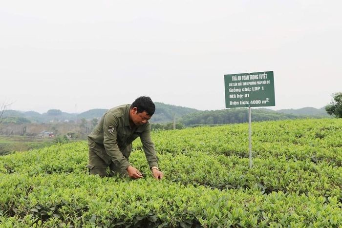 Vận hành Quỹ Hỗ trợ nông dân theo quy định mới từ ngày 8/8