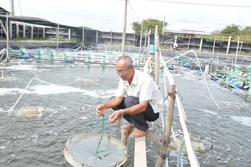 Chính thức công bố danh sách 100 Nông dân Việt Nam xuất sắc năm 2023