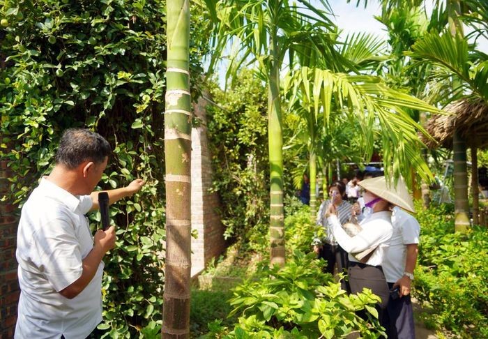 Hà Nội: Hỗ trợ địa phương phát triển du lịch nông nghiệp nông thôn