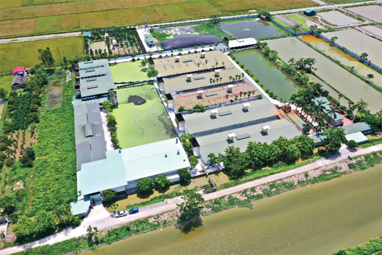 HTX Hoàng Long: Tiên phong xây dựng mô hình chung cư lợn