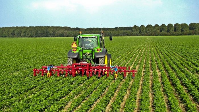 Việt Nam hiện đang vận hành chính sách nào về phát triển nông nghiệp bền vững?