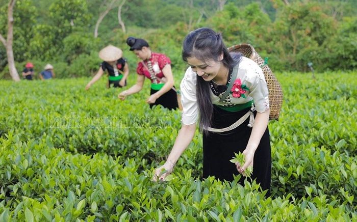 Điện Biên: Tiềm năng phát triển du lịch sinh thái