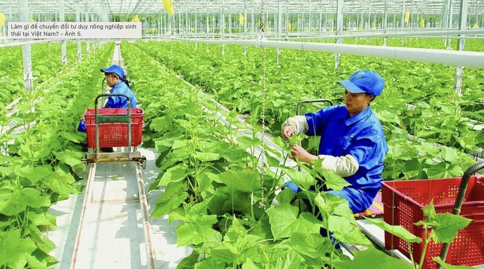 Làm gì để chuyển đổi tư duy nông nghiệp sinh thái tại Việt Nam