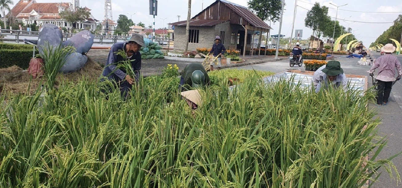 Ba kỷ lục Việt Nam sẽ được xác lập tại Festival lúa gạo quốc tế Việt Nam - Hậu Giang 2023