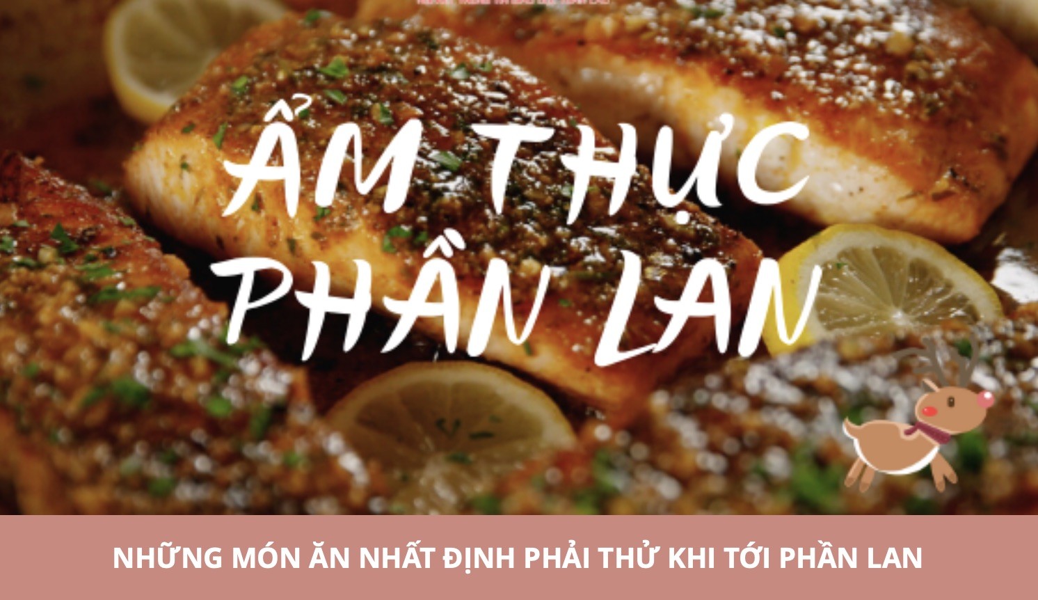 Những món ăn nhất định phải thử khi tới Phần Lan