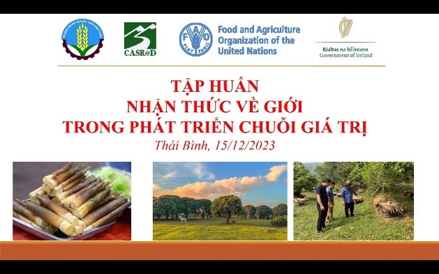 Tập huấn nhận thức về giới trong phát triển chuỗi giá trị tại xã Thái Bình, huyện Yên Sơn, tỉnh Tuyên Quang