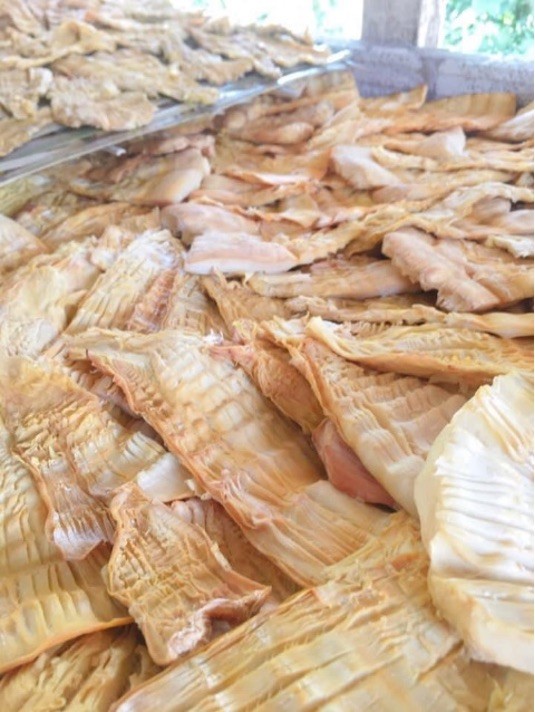 Tổ hợp tác trồng măng