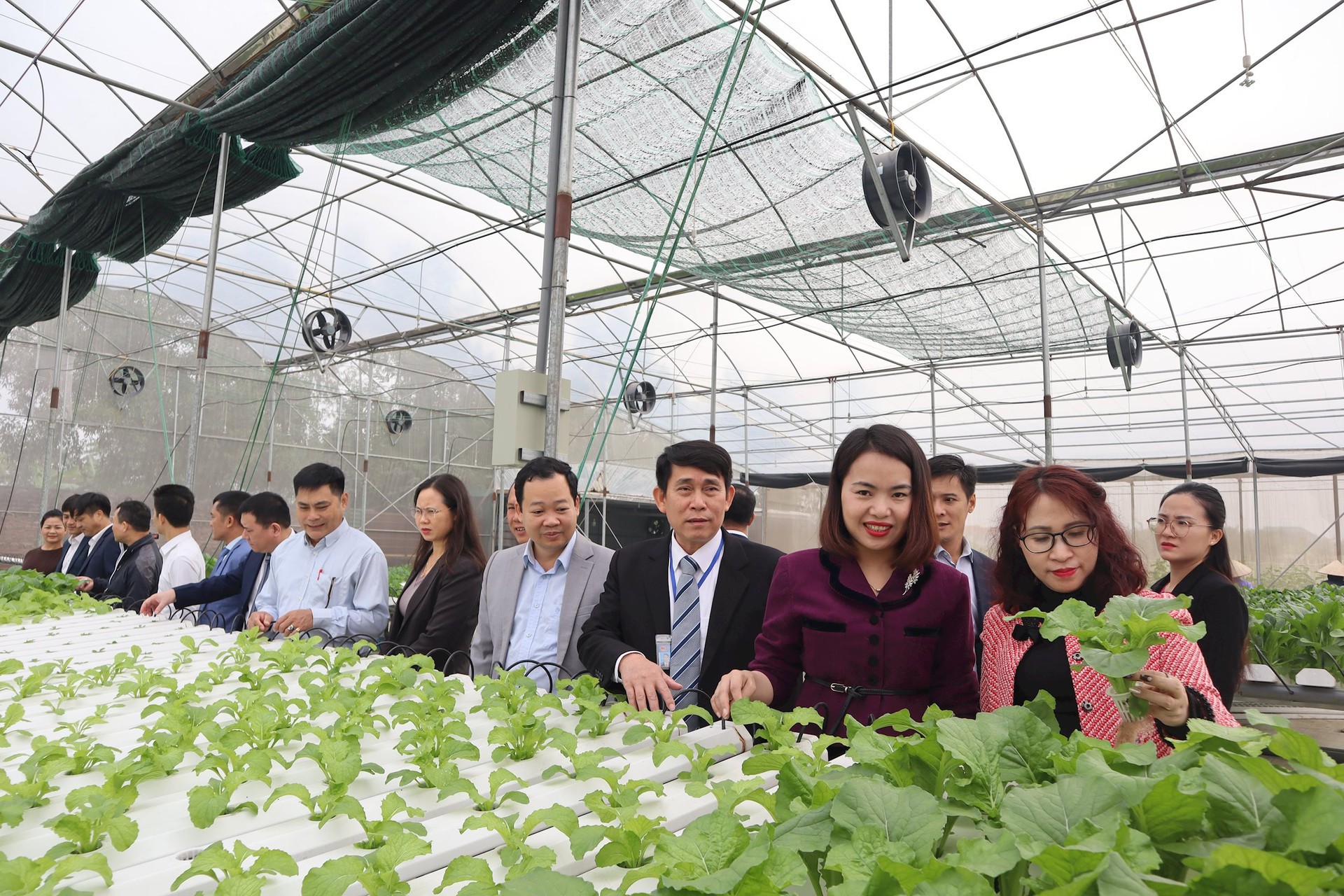 Sóc Sơn có thêm 3 xã đạt chuẩn nông thôn mới nâng cao