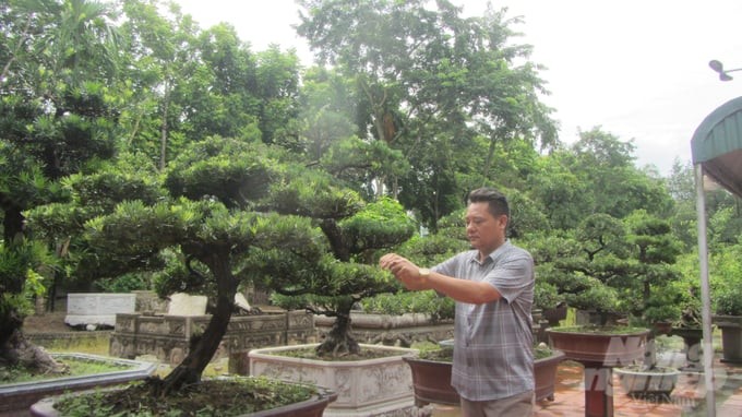 Ngành hoa, cây cảnh mang về giá trị 45 nghìn tỉ đồng