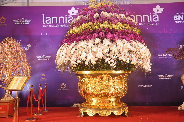 Chậu lan hồ điệp dát vàng đắt nhất Việt Nam, chủ nhân “hét giá” 3,86 tỷ đồng