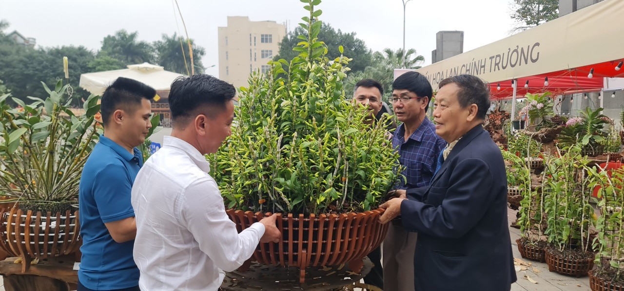 Khu di tích lịch sử Đền Hùng tiếp nhận tác phẩm hoa lan 5 cánh trắng Đất Tổ Hùng Vương kỷ lục
