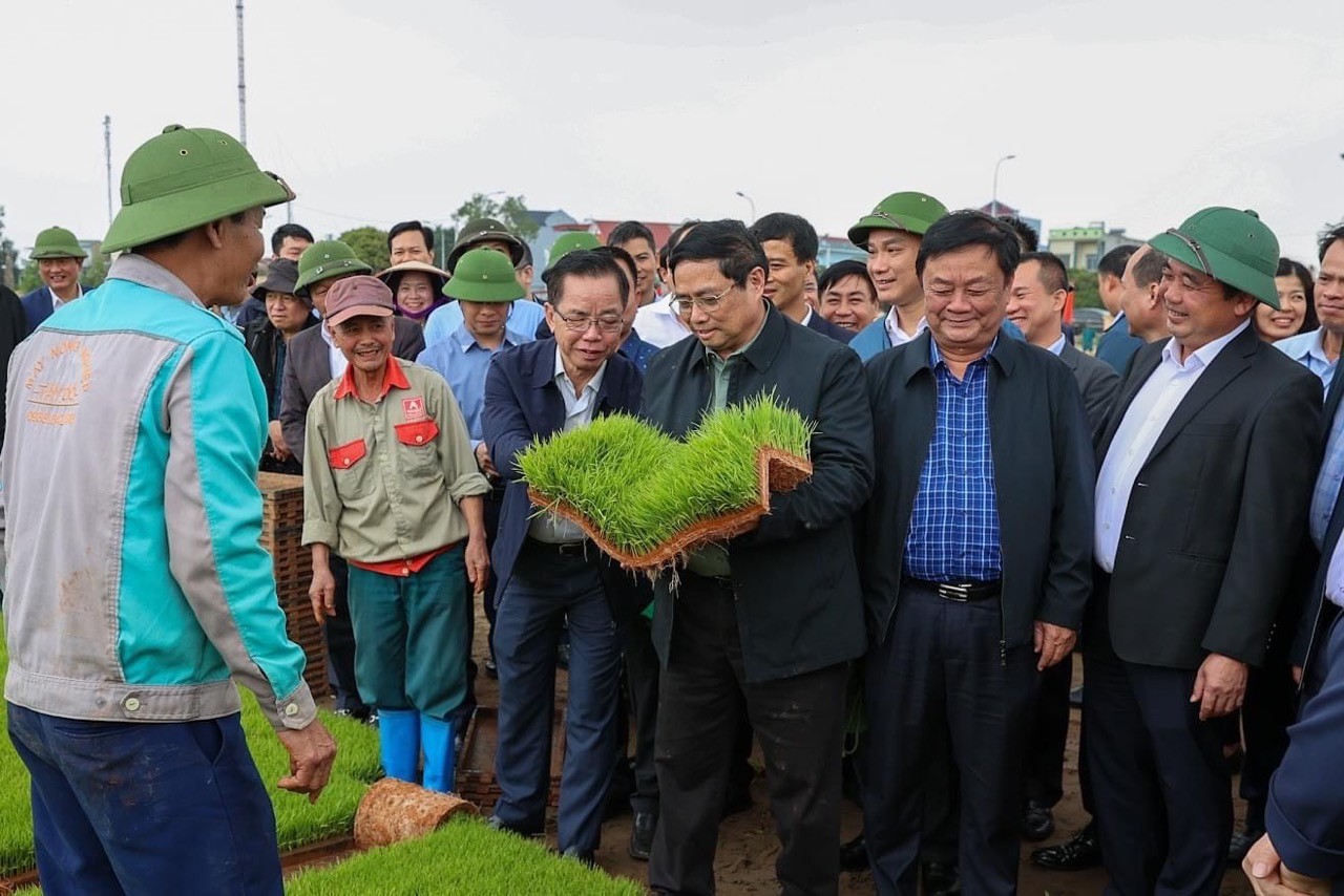 Thủ tướng Phạm Minh Chính xuống đồng cấy lúa cùng nông dân