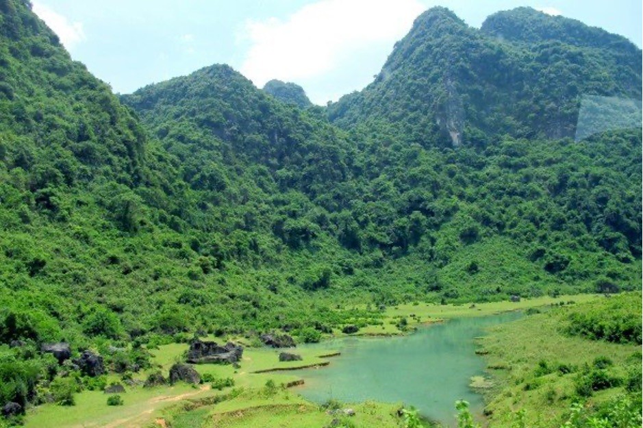 Chương trình quốc gia giảm phát thải khí nhà kính thông qua hạn chế mất và suy thoái rừng, bảo tồn trữ lượng carbon (REDĐ+) từ góc nhìn Ngân hàng Thế giới