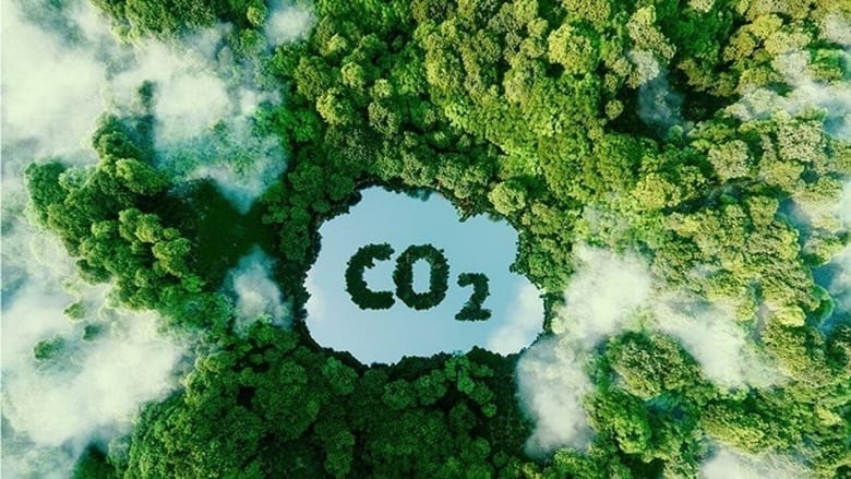 Việt Nam làm chủ tương lai xanh: Có thể thu 51,5 triệu USD từ tín chỉ Carbon rừng
